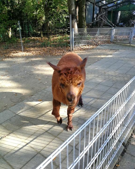 Tierpark Fauna