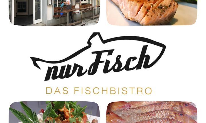 Nur Fisch - Das Fischbistro